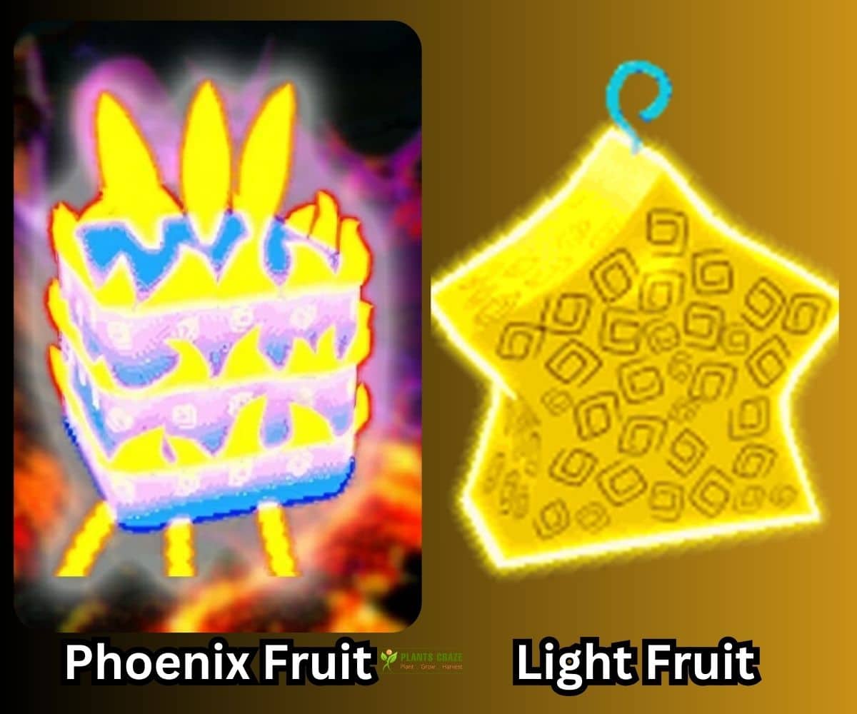 Phoenix Vs Light In Blox Fruits: Which Should You Take?